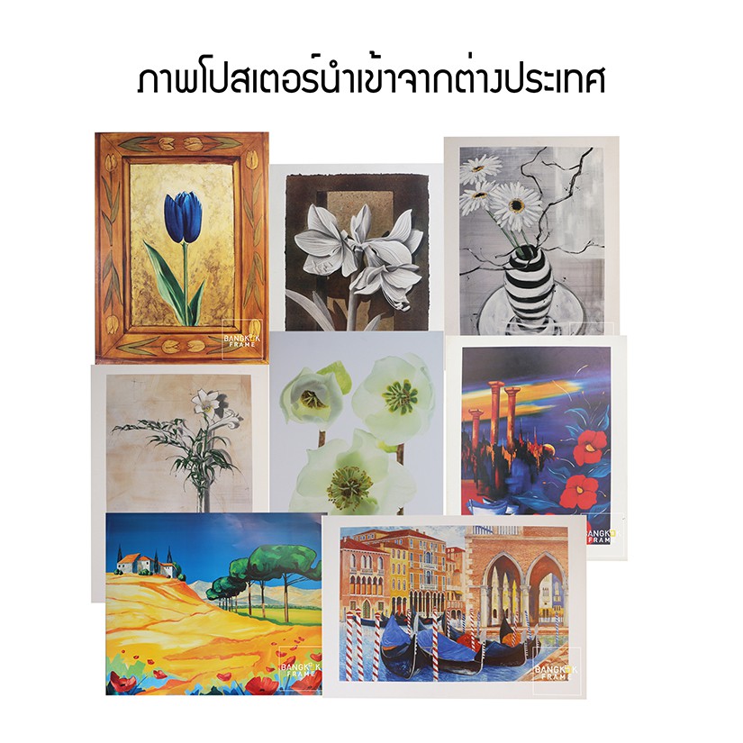 bangkokframe-ขายภาพดอกไม้-รูปภาพ-ภาพพิมพ์-โปสเตอร์จากเยอรมัน-ขายโปสเตอร์-ภาพดอกไม้-ขนาด50x70ซม