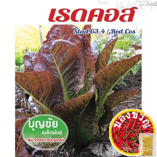 เมล็ดอวบอ้วน100%เมล็ดผักสลัด เรดคอส 100 seed (ซื้อ10 แถม1) / เมล็ดพันธุ์ / เมล็ดพันธุ์พืช / เมล็ดผัก คุณภาพดี อัตราการงอ