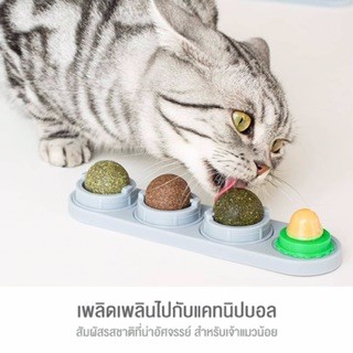 ลูกค้าใหม่-1-บาท-แคทนิปบอล-3-ลูก-พร้อมขนมแมว-วิตามิน-ของแมว-ขนมแมวเลีย-ลูกบอลแมวเลีย-catnip-ของเล่นแมว