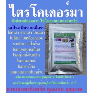 กำจัดเชื้อรา ไตรโคเดอร์มา 250กรัม แก้โรครากเน่า โคนเน่า ใบไหม้ ใบเหลืองด่างหลุดร่วง แคงเกอร์ แอนแทรคโนส ยางไหลทุกชนิดพืช