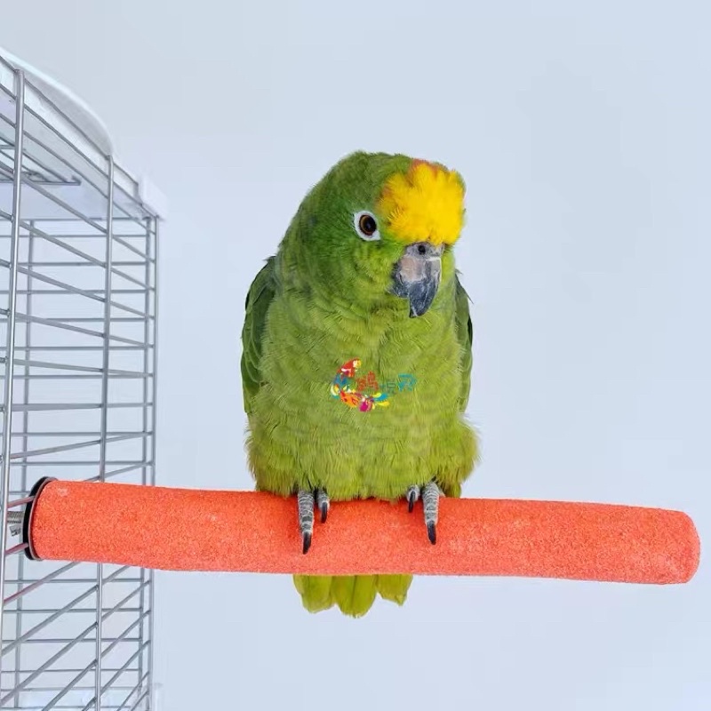 ภาพสินค้าA-1 คอนลับเล็บ สำหรับนก คอนแบบติดกรง มีหลายขนาด (คละสี) จากร้าน petsobird บน Shopee ภาพที่ 2