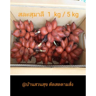 สละสุมาลี> 5kg /หวาน/หวานอมเปรี้ยว