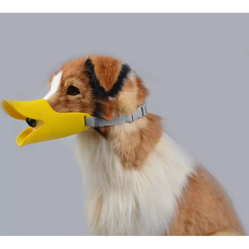 ภาพสินค้าPet dog Mask Muzzle duck mouth ที่ครอบปากสุนัข ที่ครอบปากสุนัข รูปปากเป็ด (ไซส์ L) จากร้าน kachaitshop บน Shopee ภาพที่ 2