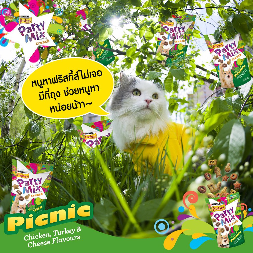 ขนมแมว-ฟริสกี้ส์-ปาร์ตี้มิกซ์-friskies-purina-party-mix-cat-treats-crunch-60-g