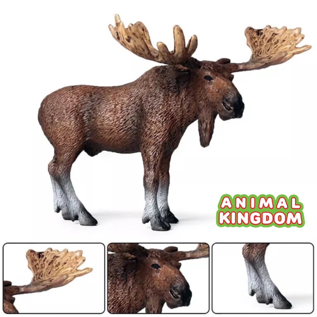 animal-kingdom-โมเดลสัตว์-กวางมูส-ขนาด-13-00-cm-จากหาดใหญ่