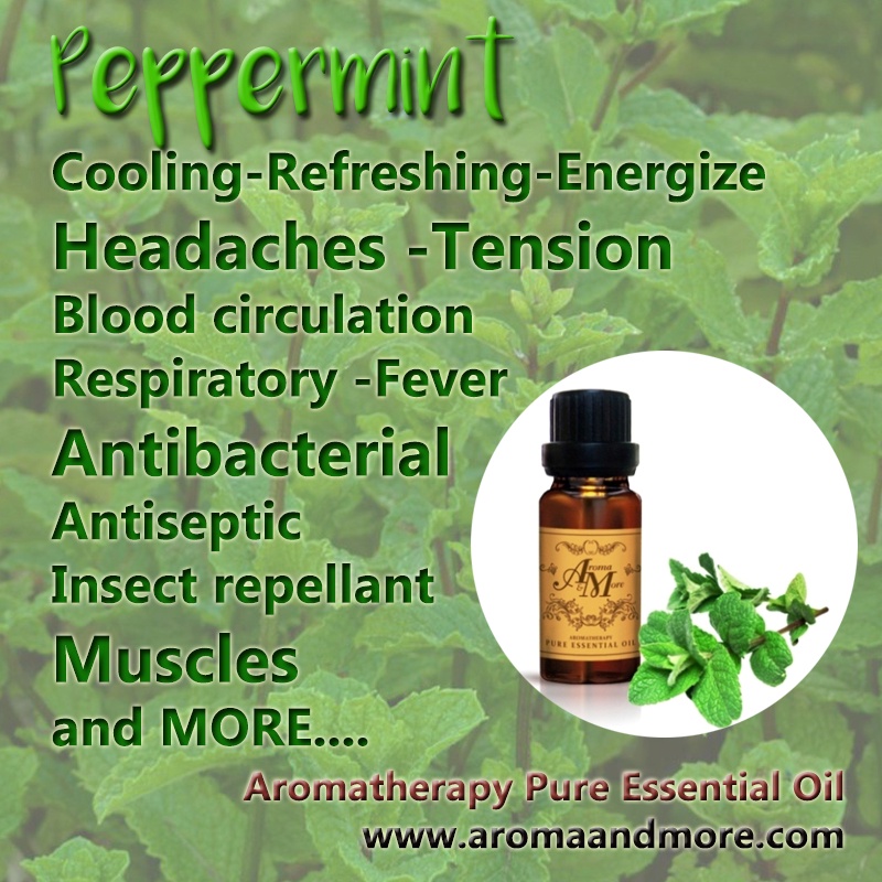 aroma-amp-more-peppermint-essential-oil-น้ำมันหอมระเหยสะระแหน่-เปปเปอร์มินต์-india-10-30ml