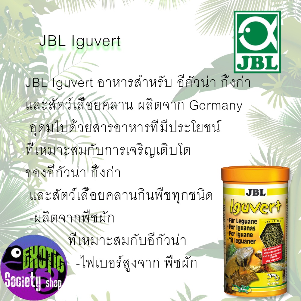 jbl-iguvert-105g-250ml-อาหารสำหรับ-อีกัวน่า-กิ้งก่า-และสัตว์เลื้อยคลานกินพืช-made-in-germany