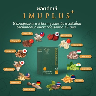 ภาพขนาดย่อของภาพหน้าปกสินค้าImu Plus อาหารเสริม แก้ภูมิแพ้ ไมเกรน ไอ จาม ผื่นผิวหนัง หอบหืด บำรุง ปอด หัวใจ ตับ ม้าม ไต จากร้าน kiliness บน Shopee ภาพที่ 6