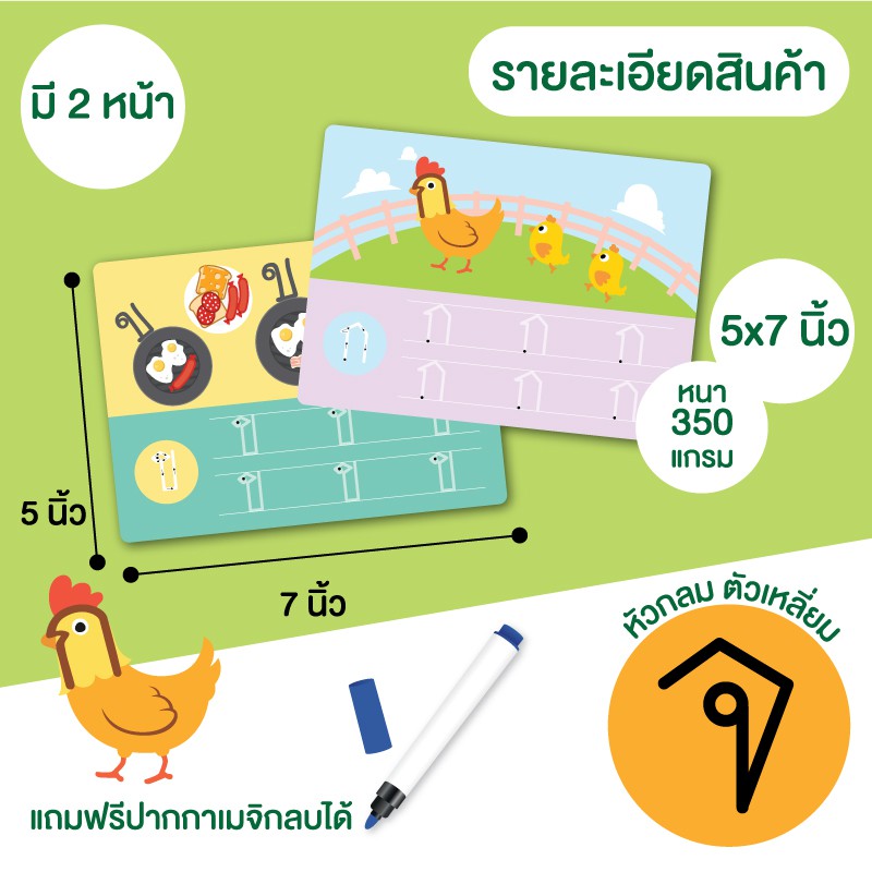 ฝึกคัดอักษร-คัดไทย-ก-ฮ-เขียนแล้วลบได้-กล่องเขียว-wipe-amp-clean