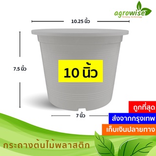 🌵 กระถางต้นไม้พลาสติก สีขาว ครีม 10 11 นิ้ว ราคาส่ง