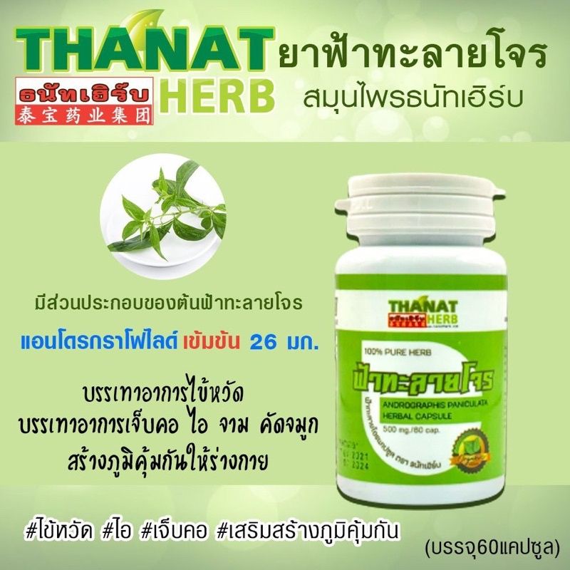 ภาพสินค้าฟ้าทะลายโจร แคปซูล 500mg. จากร้าน pinkye.stores บน Shopee ภาพที่ 3