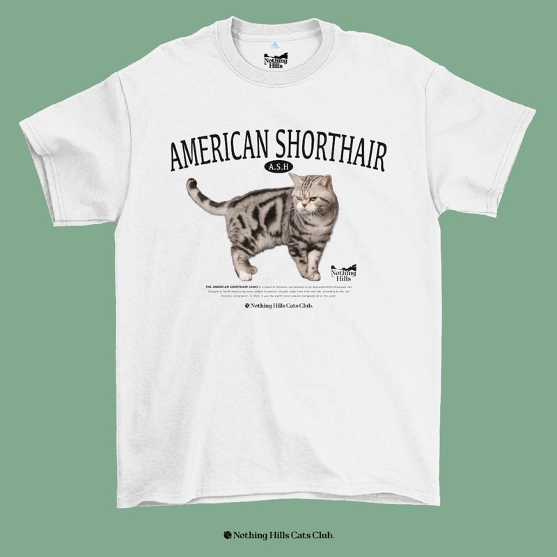 เสื้อยืดลาย-american-shorthair-อเมริกันช็อตแฮร์-classic-cotton-unisex-by-nothing-hills-ใหม่