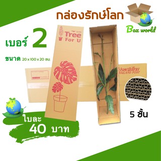 กล่องต้นไม้ เบอร์ 2 ลูกฟูก 5 ชั้น (จำนวน 5 ใบ) ส่งฟรี