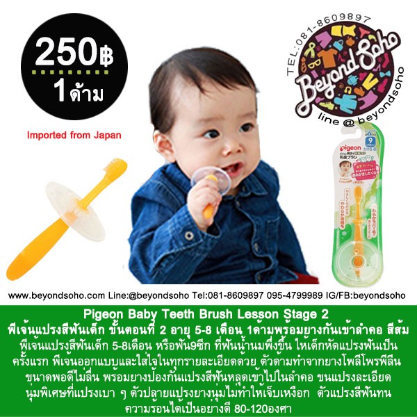 pigeon-baby-teeth-brush-lesson-stage-2-พีเจ้นแปรงสีฟันเด็ก-ขั้นตอนที่-2-อายุ-5-8-เดือน-1ด้ามพร้อมยางกันเข้าลำคอ-สีส้ม