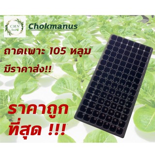 สินค้า ถาดเพาะ 105 หลุม แผงเพาะต้นกล้า ความหนา 1.0 mm