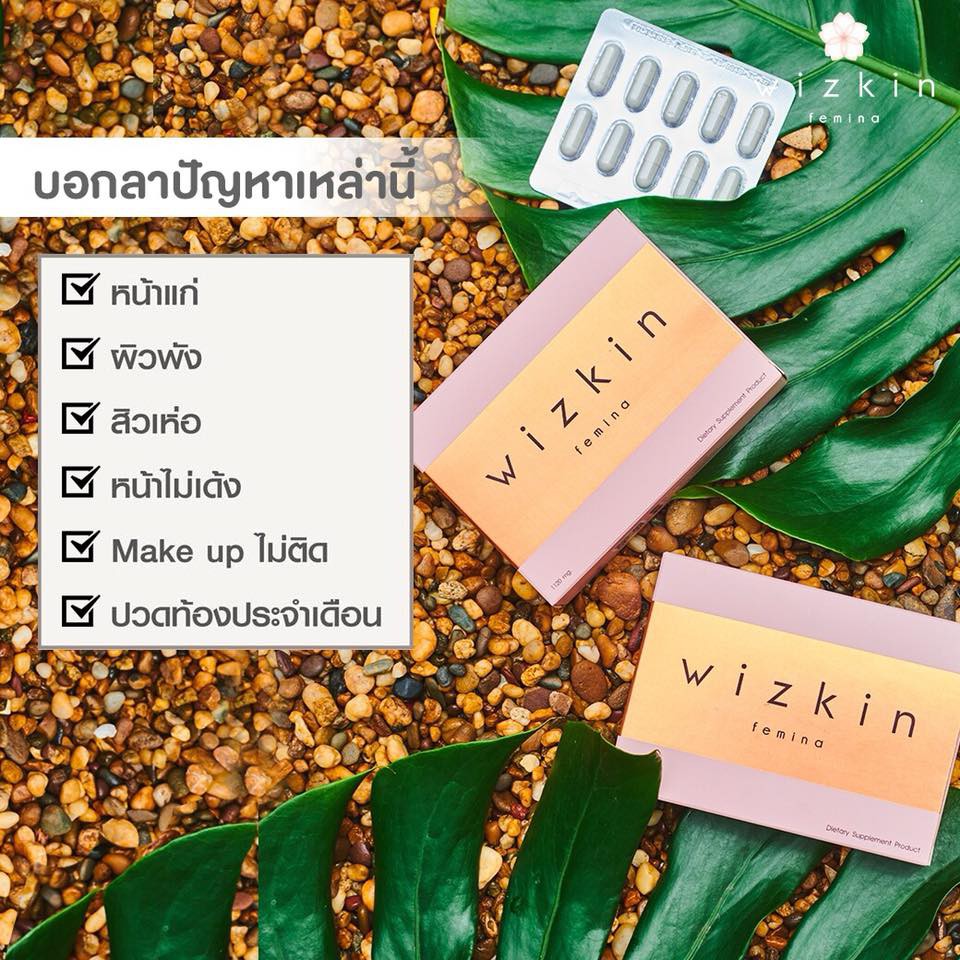 ภาพสินค้าWizkin ️ มีเก็บเงินปลายทาง จากร้าน beejuta บน Shopee ภาพที่ 2