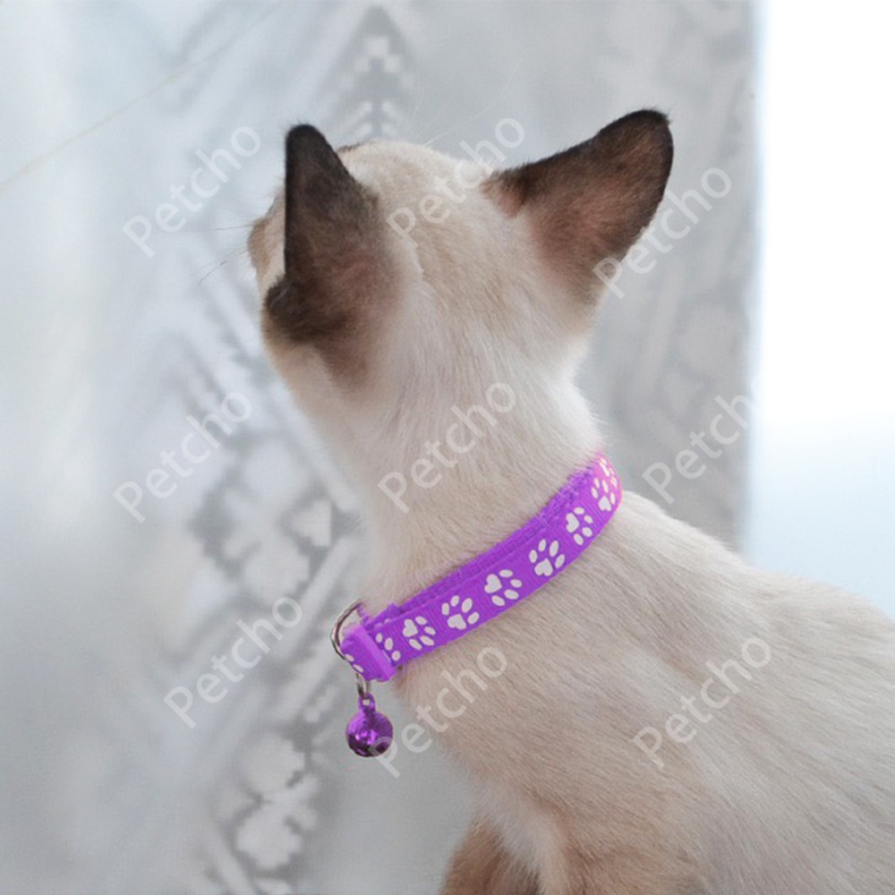 ภาพสินค้าPetcho ️‍Pet collar ปลอกคอสุนัข ปลอกคอแมว ปลอกคอลายรอยเท้า น่ารัก ทนนาน ปลอกคอสำหรับสัตว์เลี้ยง*Collar03 จากร้าน petcho01 บน Shopee ภาพที่ 1