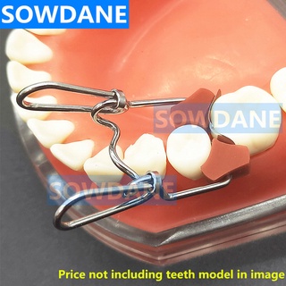 Dental Orthodontic Add-On Autoclavable Silicon Rubber Elastic Wedge Wedges Dental Clip Matrice Mixed Spring Dental Mater