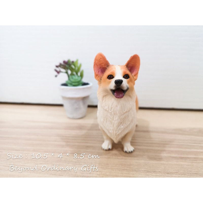 โมเดลคอร์กี้สองสียืน-พร้อมส่ง-welsh-corgi-model