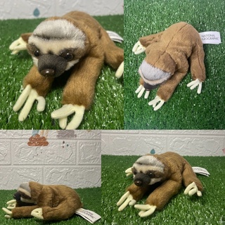 สล็อต งานสัตว์เหมือน สัตว์แปลก หายาก Sloth National Geographic, cute stuffed animal