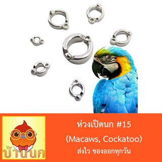 ห่วงเปิดนก #15 ห่วงขานก  แหวนนก (Macaws, Cockatoo)