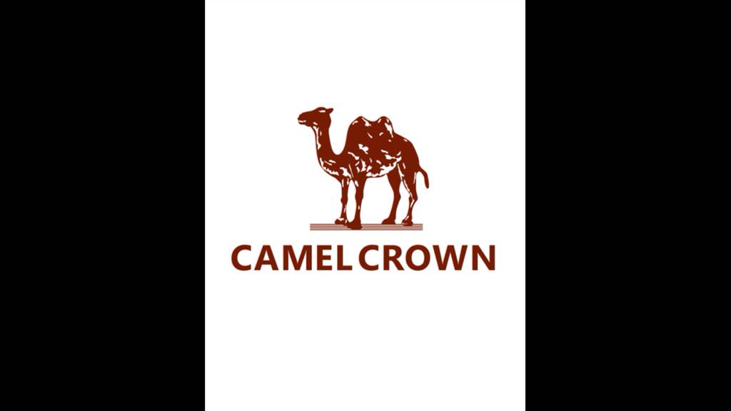 camel-crown-กระเป๋าคาดเอว-คาดอกลําลอง-อเนกประสงค์-น้ําหนักเบา-จุของได้เยอะ-เหมาะกับการพกพาเดินทาง-เล่นกีฬา-สําหรับผู้ชาย-และผู้หญิง