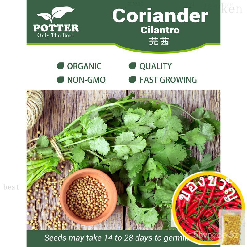 Coriander Cilantro Chinese Parsley vegetable seeds, 100 seeds [Local