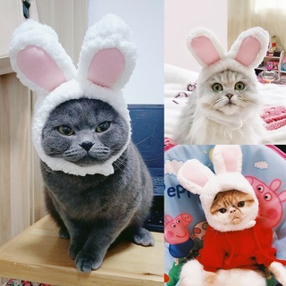 หมวกหูกระต่ายน่ารัก แฟชั่น อุปกรณ์เสริม สําหรับสัตว์เลี้ยง สุนัข แมว