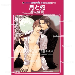 การ์ตูนวาย อันคัท Tsuki to Hebi โดย TOKUMARU Yoshitaka - D-09 แปลไทย *เล่มเดียวจบ* 💥จัดส่งใน 2 วัน💥