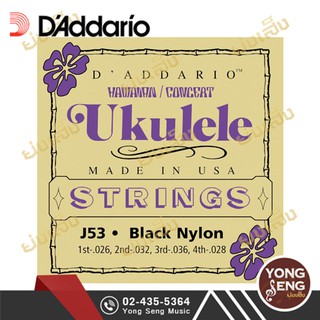 ภาพหน้าปกสินค้าD\'ADDARIO สายอูคูเลเล่ เบอร์ 026 CONCERT BLACK NYLON รุ่น J53 (Yong Seng Music) ที่เกี่ยวข้อง