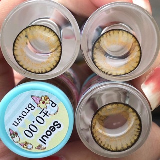 Seoul Brown (1) บิ๊กอาย น้ำตาล สีน้ำตาล หวาน โทนแบ๊ว Contact Lens Bigeyes คอนแทคเลนส์ ค่าสายตา สายตาสั้น แฟชั่น