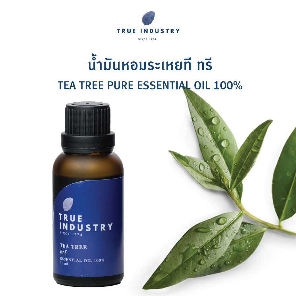 ภาพหน้าปกสินค้าTrue industry น้ำมันหอมระเหยสกัด 100 % ทีทรี (Pure Tea tree essential oil) แถมฟรี จุกสำหรับหยด