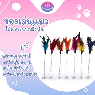 ราคา[ ABC cat ] ไม้แมว ไม้ล่อแมว ตั้งพื้นขนนก ไม้แมวตั้งพื้นสปริง ของเล่นแมว