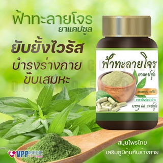 ภาพขนาดย่อของภาพหน้าปกสินค้า(พร้อมส่ง) สมุนไพร ลดไข้ บรรจุ 60 แคปซูล แคปซูลละ 400 มิลลิกรัม มีเลขทะเบียนยา มี อ.ย. ได้มาตรฐาน GMP จากร้าน medicares บน Shopee ภาพที่ 4