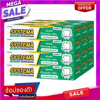 ซิสเท็มมา ยาสีฟัน สูตรสปริงมิ้นท์ 40 กรัม x 12 กล่อง ผลิตภัณฑ์ดูแลช่องปากและฟัน Systema Toothpaste Spring Mint 40g x 12