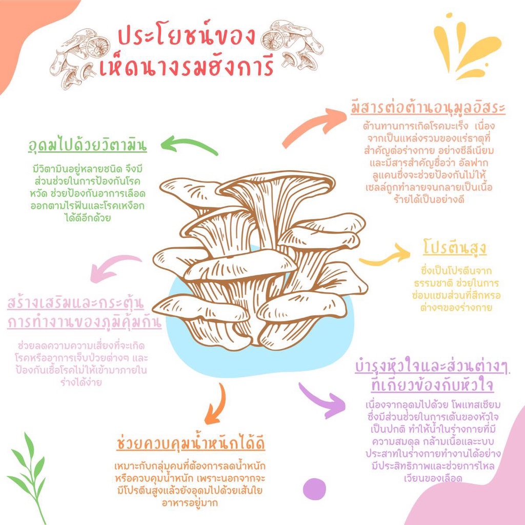 lomchoy-เห็ดนางรมฮังการีกรอบรสโนริสาหร่าย-ขนาด-25-กรัม-33056