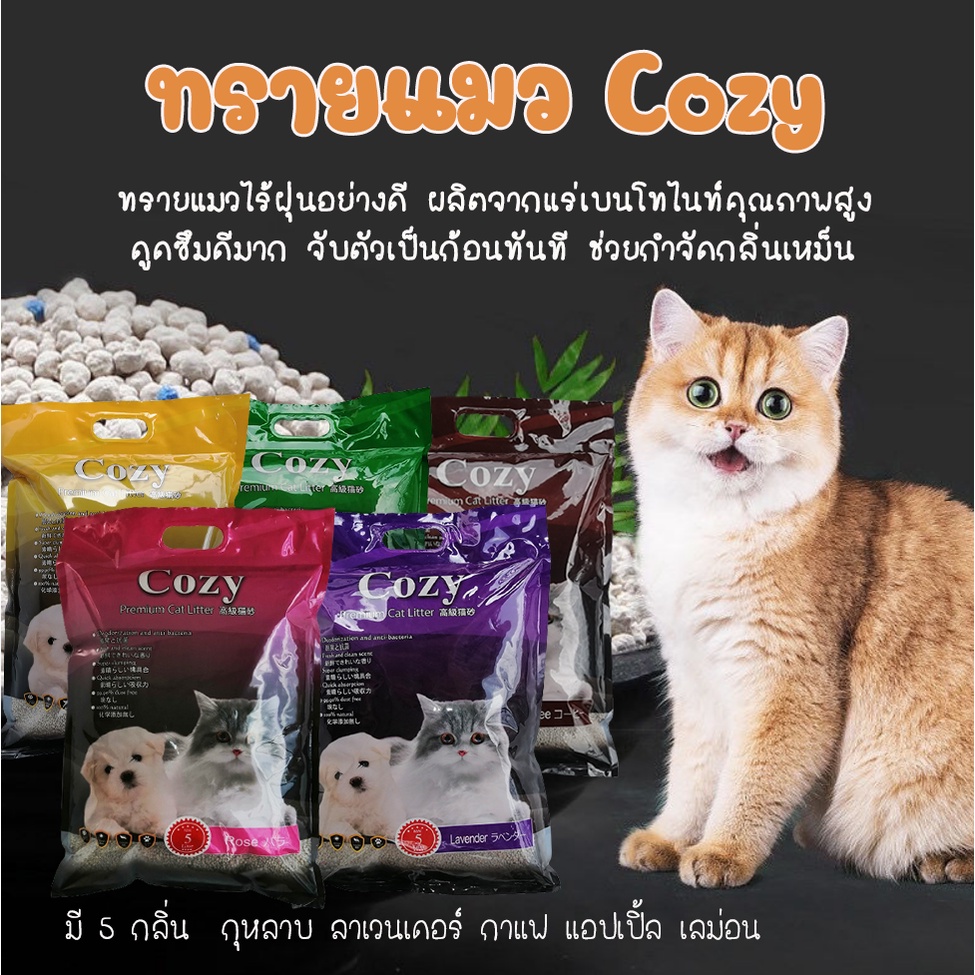 ทรายแมวไร้ฝุ่น-5-ลิตร-คุณภาพสูง-ทรายแมวcozy-ทรายแมวโคซี่-ทรายแมวอย่างดี-ขายส่ง-ขายถูก-ทรายแมวหินภูเขาไฟ-ทรายแมวเต้าหู้