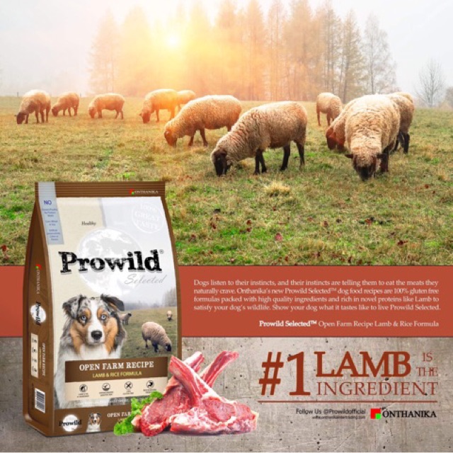 Prowild Open farm Lamb And Rice 15kg อาหารเม็ดโปรวายด์ สูตรเนื้อแกะและ