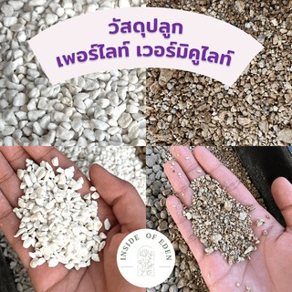 เพอร์ไลท์ เวอมิคูไลท์ วัสดุปลูกแบ่งขาย เวอร์มิคูไลท์ 1 ลิตร 3 ลิตร perlite vermiculite