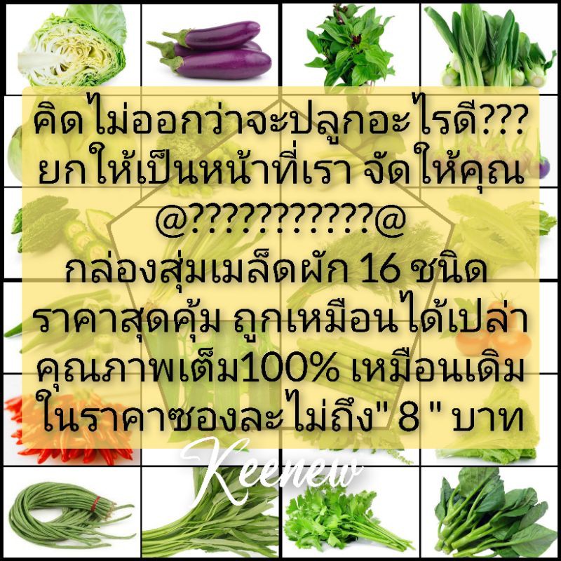 เมล็ดผัดราคาสุดคุ้ม-สุ่มจัดส่ง16ชนิด-หากคิดไม่ออกว่าจะปลูกอะไร-ขอให้เป็นหน้าที่เราจัดให้ท่าน