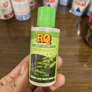 RQ ANTI ALGAE  อาร์คิวกำจัดตะไคร่น้ำเขียว