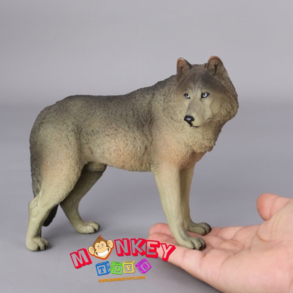 Monkey Toys - โมเดลสัตว์ หมาป่า เทา ขนาด 18.00 CM (จากหาดใหญ่) | Shopee ...