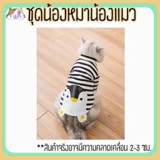ภาพหน้าปกสินค้าเสื้อหมา เสื้อแมว ชุดสัตว์เลี้ยง pet costume ที่เกี่ยวข้อง