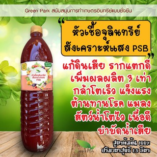 ภาพหน้าปกสินค้าหัวเชื้อ จุลินทรีย์สังเคราะห์แสง PSB ขวด 1.5 ลิตร คุณภาพสูง เห็นผลจริง สูตรเข้มข้น หัวเชื้อแท้ 100% เร่งราก ดอก ผล ดก ที่เกี่ยวข้อง