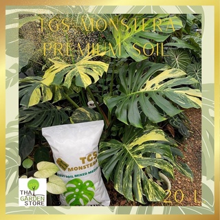 สินค้า ดินพร้อมปลูกมอนสเตอร่า พรีเมียม ซอยล์ Monstera Premium Soil Thaigardenstore