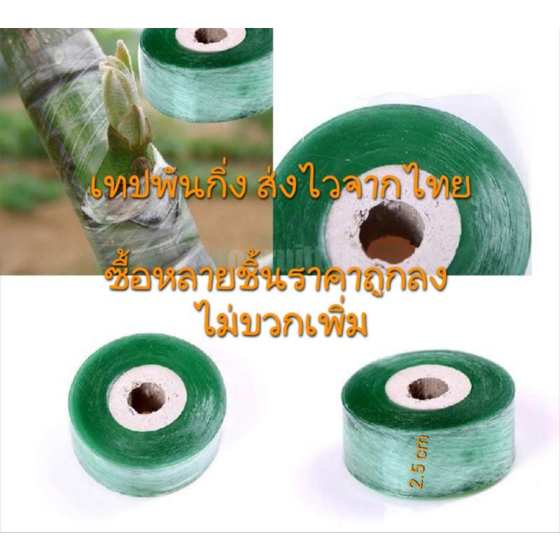 2-5-cm-เทปพันกิ่ง-ซื้อหลายชิ้นราคาไม่เพิ่ม-ส่งจากไทย-ไม่ต้องรอนาน