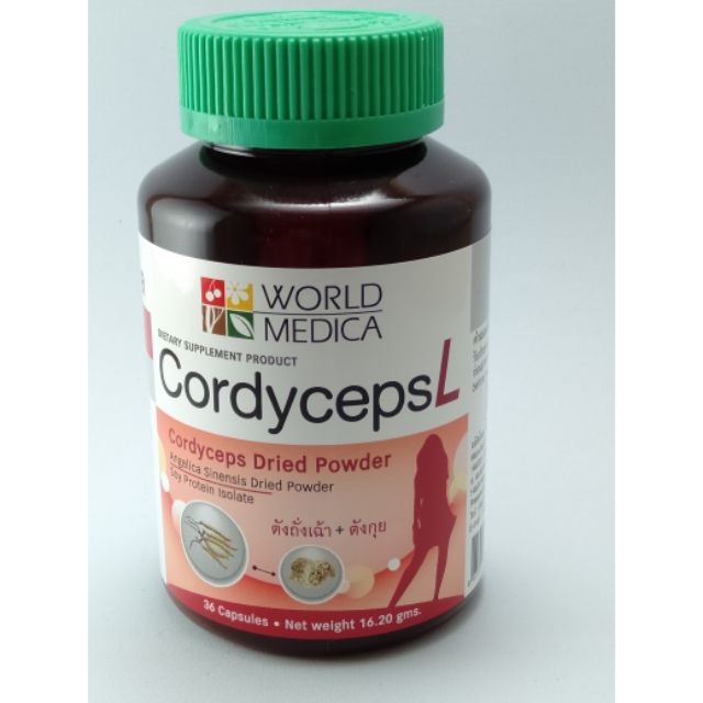 ถั่งเช่า-cordyceps-l-ขาวละออ