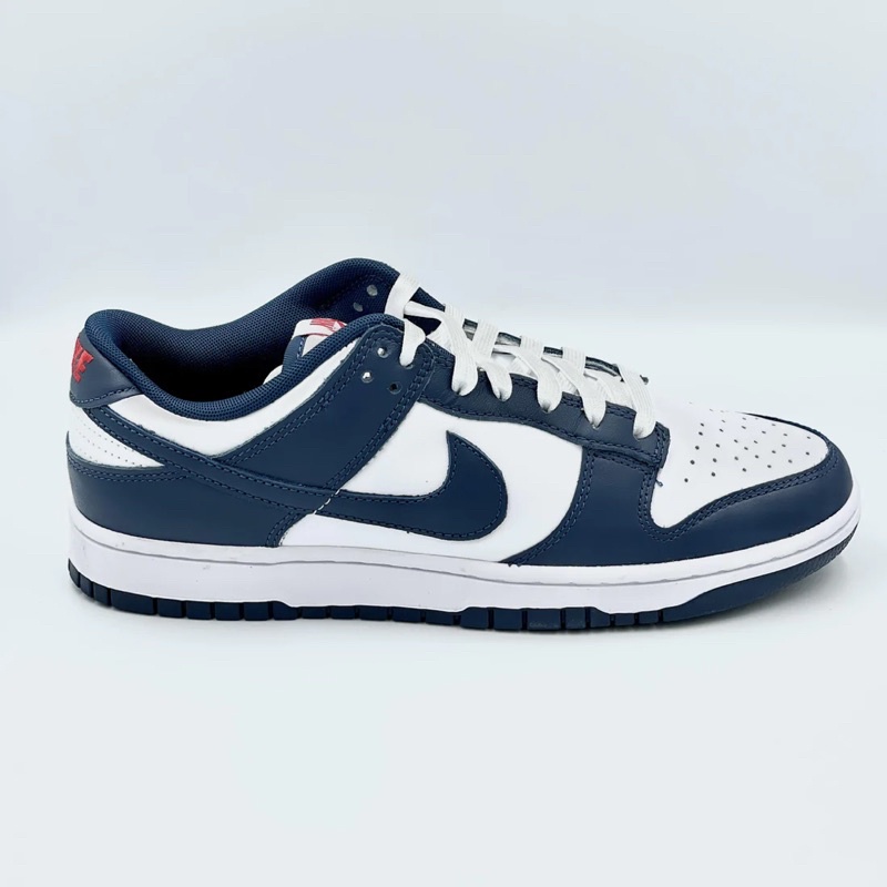 nike-dunk-low-valerian-blue