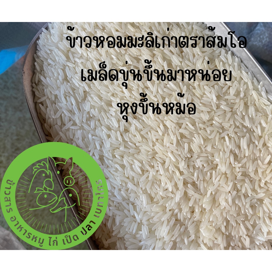 ข้าวหอมมะลิแท้-100-ตราส้มโอ-ข้าวใหม่-ข้าวเก่า-ขนาด-15-กิโลกรัม