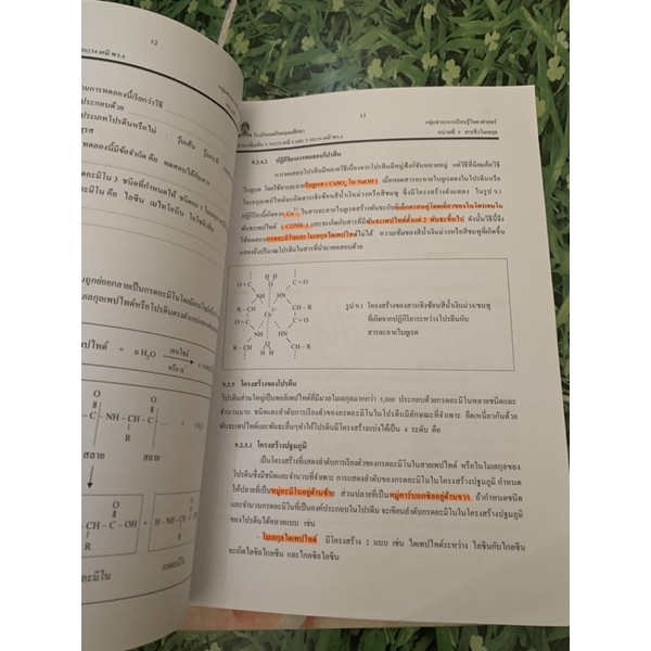 เอกสารประกอบการเรียน-สารชีวโมเลกุลและเชื้อเพลิงซากดึกดำบรรพ์-เคมี-4